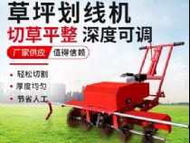 點(diǎn)擊查看詳細(xì)信息<br>標(biāo)題：草皮劃線(xiàn)機(jī) 閱讀次數(shù)：3629